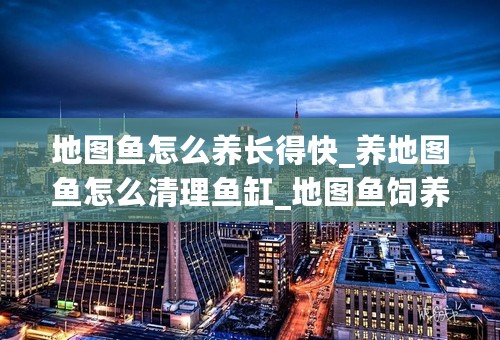 地图鱼怎么养长得快_养地图鱼怎么清理鱼缸_地图鱼饲养方法和注意事项