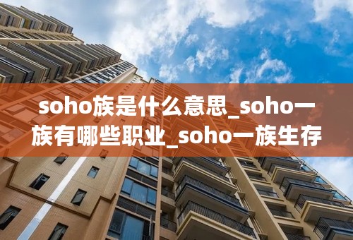 soho族是什么意思_soho一族有哪些职业_soho一族生存手册