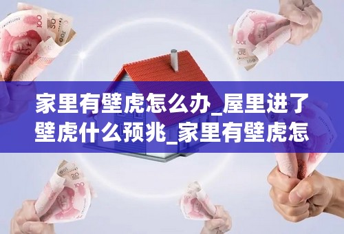 家里有壁虎怎么办_屋里进了壁虎什么预兆_家里有壁虎怎么引出去