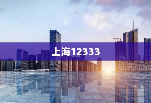 上海12333