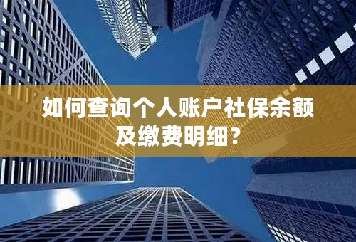 如何查询个人账户社保余额及缴费明细？