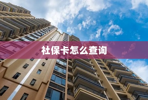 社保卡怎么查询