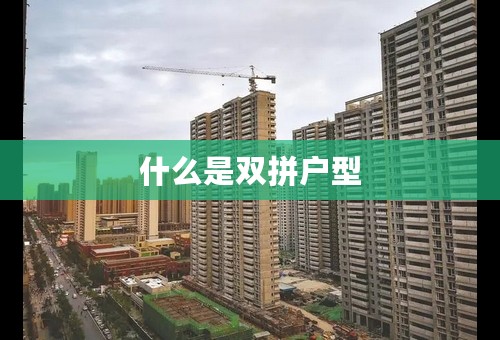 什么是双拼户型