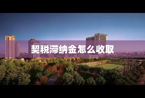 契税滞纳金怎么收取