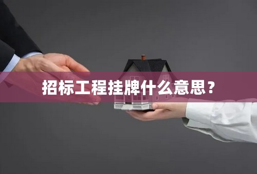 招标工程挂牌什么意思？