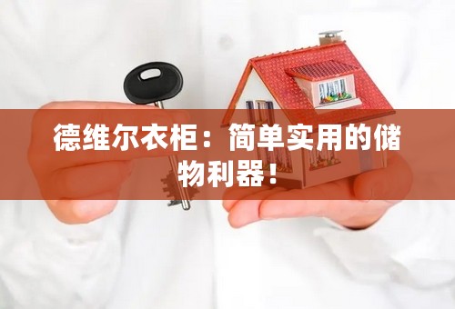 德维尔衣柜：简单实用的储物利器！