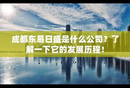 成都东易日盛是什么公司？了解一下它的发展历程！