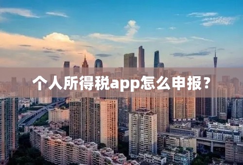 个人所得税app怎么申报？