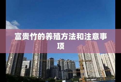 富贵竹的养殖方法和注意事项