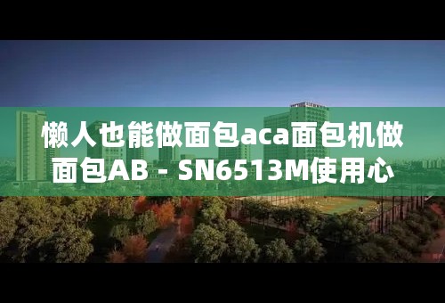 懒人也能做面包aca面包机做面包AB－SN6513M使用心得