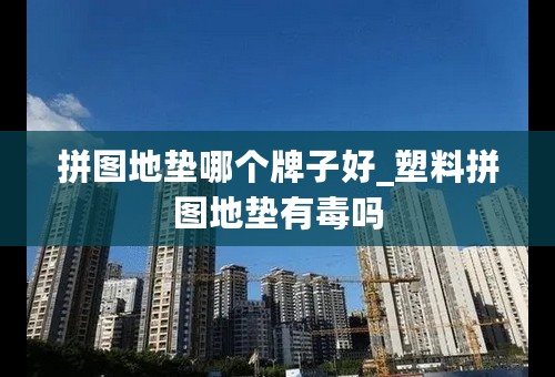 拼图地垫哪个牌子好_塑料拼图地垫有毒吗