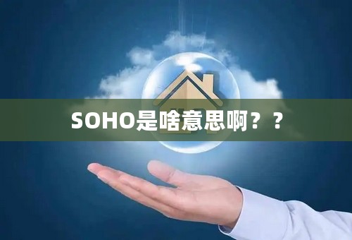 SOHO是啥意思啊？？