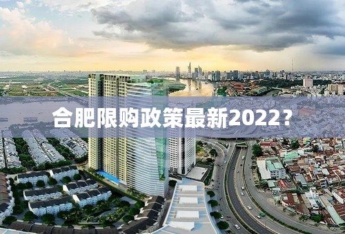 合肥限购政策最新2022？