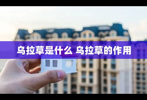 乌拉草是什么 乌拉草的作用