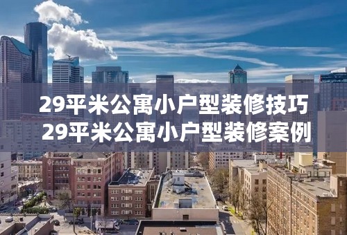 29平米公寓小户型装修技巧 29平米公寓小户型装修案例