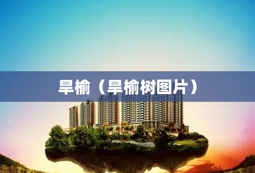 旱榆（旱榆树图片）