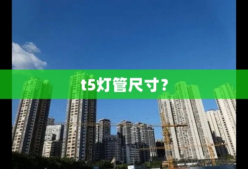 t5灯管尺寸？