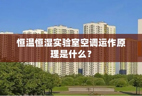 恒温恒湿实验室空调运作原理是什么？