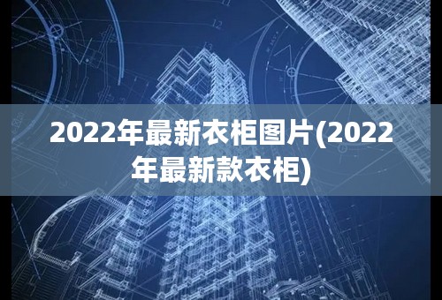 2022年最新衣柜图片(2022年最新款衣柜)