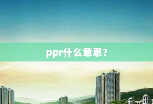 ppr什么意思？