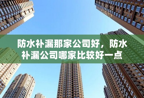 防水补漏那家公司好，防水补漏公司哪家比较好一点