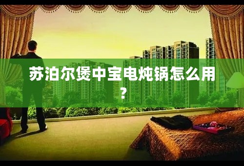 苏泊尔煲中宝电炖锅怎么用？