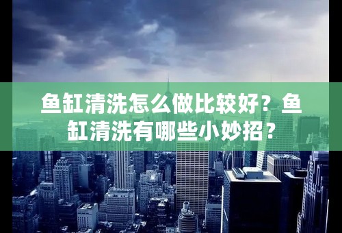 鱼缸清洗怎么做比较好？鱼缸清洗有哪些小妙招？