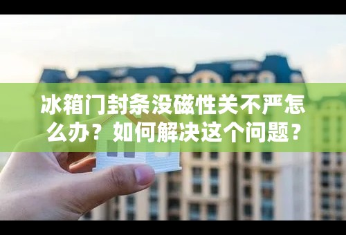 冰箱门封条没磁性关不严怎么办？如何解决这个问题？