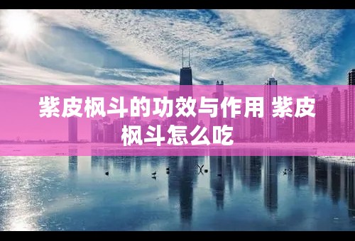 紫皮枫斗的功效与作用 紫皮枫斗怎么吃