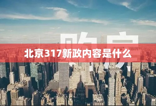 北京317新政内容是什么