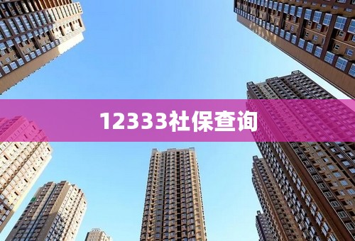 12333社保查询