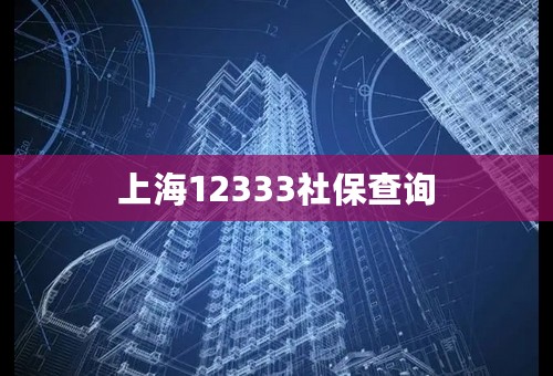 上海12333社保查询