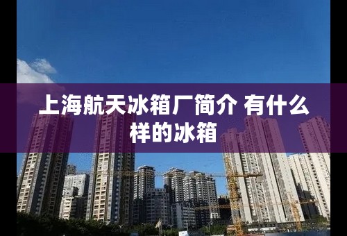 上海航天冰箱厂简介 有什么样的冰箱