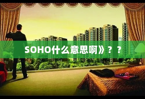 SOHO什么意思啊》？？