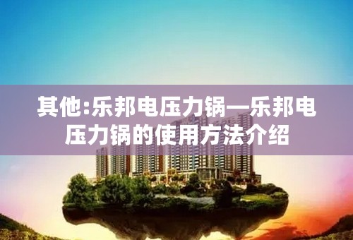 其他:乐邦电压力锅—乐邦电压力锅的使用方法介绍