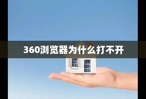 360浏览器为什么打不开