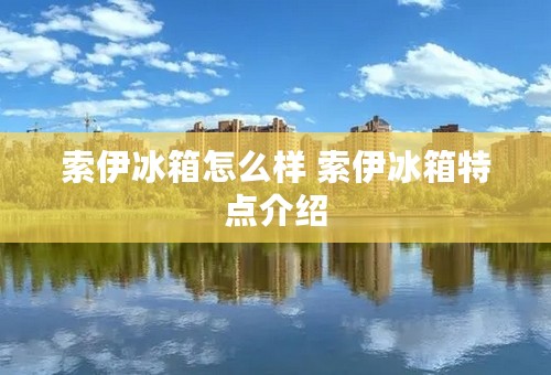 索伊冰箱怎么样 索伊冰箱特点介绍