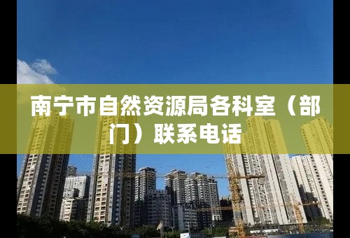 南宁市自然资源局各科室（部门）联系电话