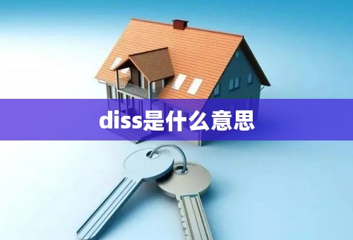 diss是什么意思