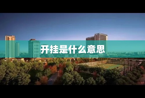 开挂是什么意思