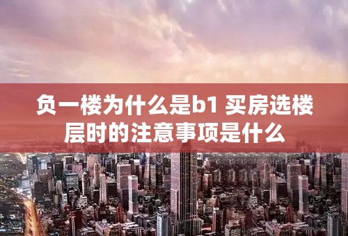 负一楼为什么是b1 买房选楼层时的注意事项是什么