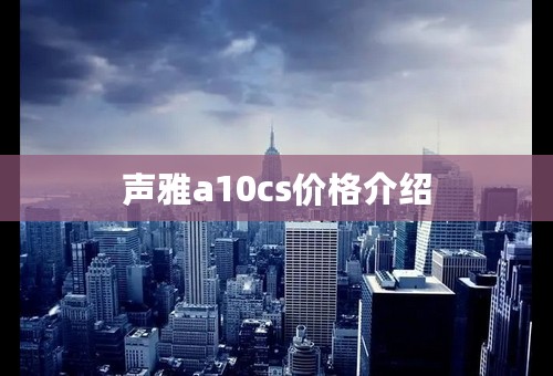 声雅a10cs价格介绍