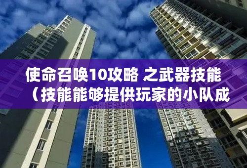 使命召唤10攻略 之武器技能（技能能够提供玩家的小队成员哪些能力）