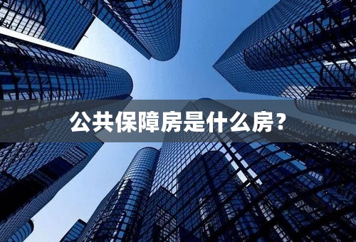 公共保障房是什么房？