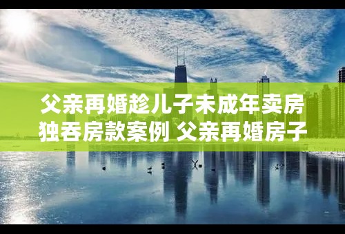 父亲再婚趁儿子未成年卖房独吞房款案例 父亲再婚房子怎么分配