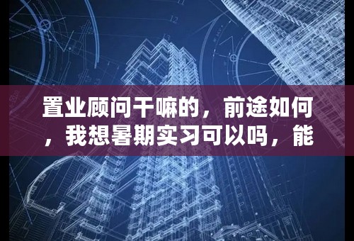 置业顾问干嘛的，前途如何，我想暑期实习可以吗，能赚到钱吗