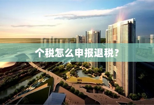 个税怎么申报退税？