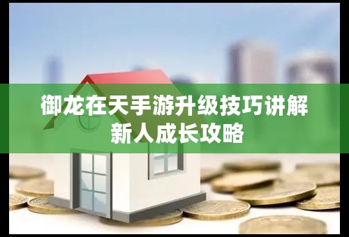 御龙在天手游升级技巧讲解 新人成长攻略