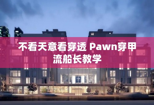 不看天意看穿透 Pawn穿甲流船长教学