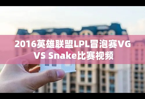 2016英雄联盟LPL冒泡赛VG VS Snake比赛视频